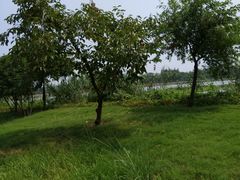 -梁鸿国家湿地公园