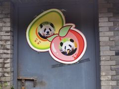 -都江堰中华大熊猫苑