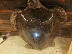 -福禧酒窖·中餐厅 (万柳店)