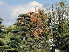 -三圣花乡旅游区