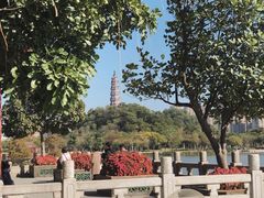 -顺峰山公园