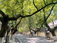 -国民政府最高法院旧址