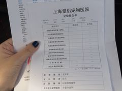 -爱侣宠医·鹦鹉专科·小型哺乳类·异宠专科(灵石路店)