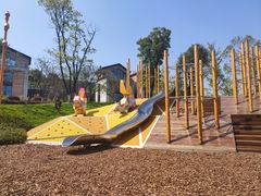 -铁山坪森林公园