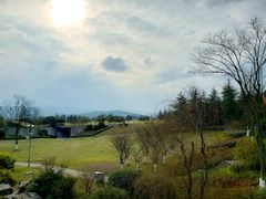 -铁山坪森林公园