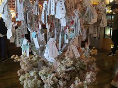 -长藤鬼校(龙翔店)