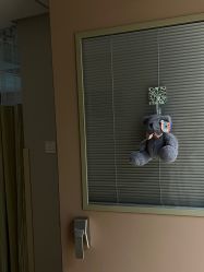 -杭州贝瑞斯美华妇儿医院·早孕·产检·儿科