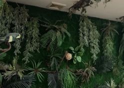 -逸丝风尚