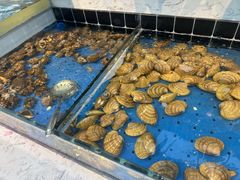 -川骄海鲜自助(王府井奥莱UP TOWN店原世界之花店)