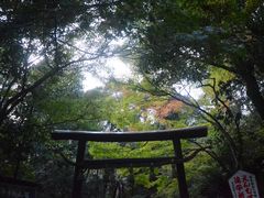 -野宫神社