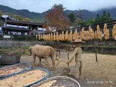 -塔川景区