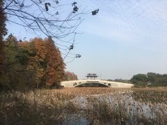 -东湖落雁景区
