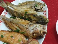 -蛇口康乐快餐鱼仔档(翠苑小区店)
