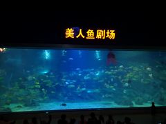 -福州罗源湾海洋世界旅游区