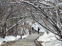 -华山风景名胜区