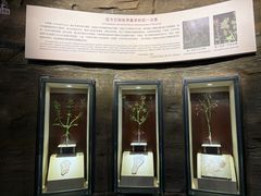 -辽宁古生物博物馆