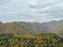 -云顶山风景区