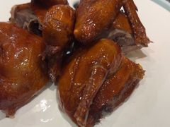 -大鸽饭(马王堆店)