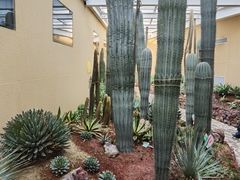 -正佳雨林生态植物园