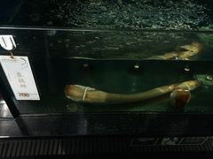水产区-王家渡火锅店(棕榈泉店)