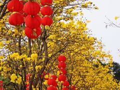 -洲头咀公园