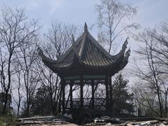 -贵州省植物园