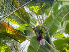 -国家植物园南园