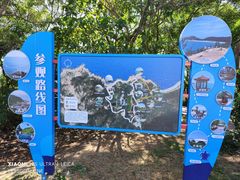 -广东惠东海龟国家级自然保护区