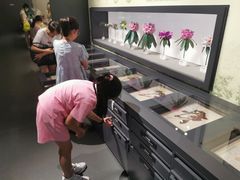 -四川大学博物馆