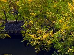 -惠山古镇·寄畅园