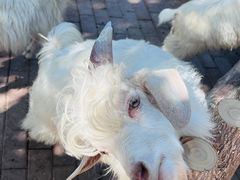 -水上乐园·欢乐世界