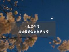 -上海南浦大桥长途旅游客运站