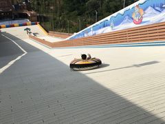 -美的鹭湖探索王国