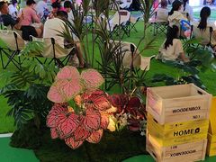 -世纪金源购物中心