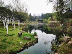 -月湖风景区