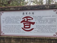 -北海金海湾红树林生态旅游区