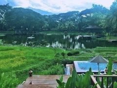 -四季酒店下午茶