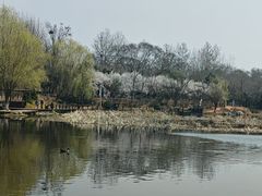 -前关湿地公园