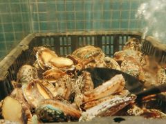 -小天鹅戴斯酒店鲸鲨百汇创作料理