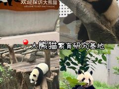 -成都欢乐谷