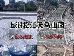 -上海佘山国家森林公园天马山园
