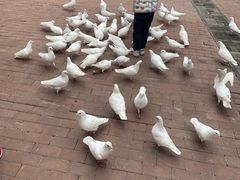 -王府井奥莱临潼小镇(临潼店)