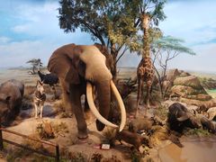 -陕西自然博物馆