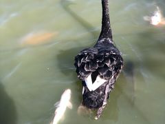 -春晖园度假酒店温泉