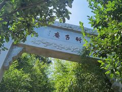 -竹子庵公园