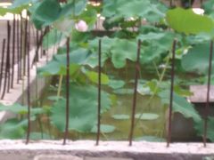 -罔极寺