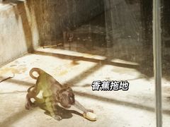 -南宁市动物园
