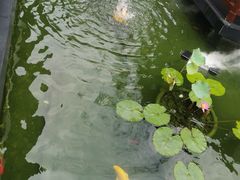 -濮园 · 四合院餐厅