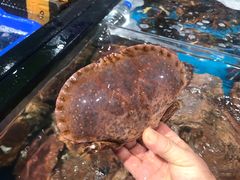 -盒马鲜生(曜一城店)
