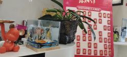 -郡艺医疗美容·微整·眼鼻吸脂
